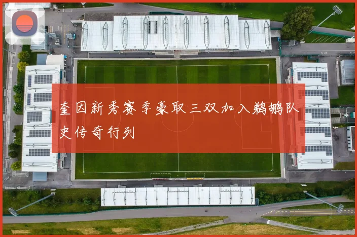 奎因新秀赛季豪取三双加入鹈鹕队史传奇行列
